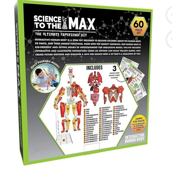 Science to the Max Interactive 14" Human Body. - Picture 3 of 5